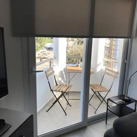 Bingo Studio